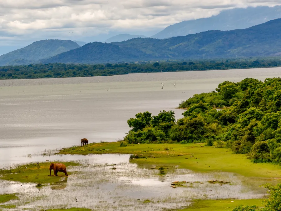 Udawalawe